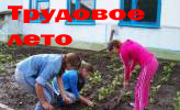 Трудовое лето